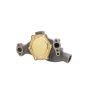 Dayco DP819 Water Pump
