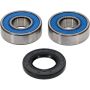 Pivot Works 25-1038-P Wheel Bearing Kit