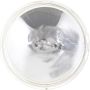 Philips 4509C1 Philips Standard Sealed Beam 4509