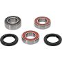 Pivot Works 25-1556-P Sherco Wheel Bearing Kit Premium Bearings