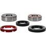 Pivot Works 25-1204-P Honda Wheel Bearing Kit Premium Bearings