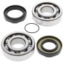 All Balls Racing 24-1066 75-78 Yamaha DT400 Crank Shaft Bearing Kit
