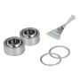 aFe Power 461-401004-A aFe CONTROL PFADT Series Spherical Rebuild, Lower Front or Rear