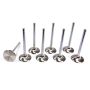 FERREA FERF6048-8 Acura C/6 33mm Intake Valves