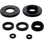 Vertex Pistons 822396 Vertex Gaskets 12-13 Kawasaki Teryx 4 4x4 Oil Seal Kit