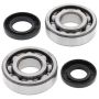All Balls Racing 24-1009 84-87 Kawasaki KXT250 Tecate Crank Shaft Bearing Kit