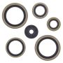 Vertex Pistons 822187 Vertex Gaskets 14-15 Husqvarna TC 125 Oil Seal Kit