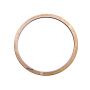 DIVERSIFIED MACHINE DMIRRC-1007 CT1 Spiralock for Seal Plate