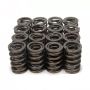 PAC RACING SPRINGS PACPAC-1914-16 1.490 Dual Valve Springs (16)