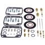 All Balls Racing 26-10100 1996 Ski-Doo Formula III/LT Carburetor Rebuild Kit