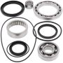 All Balls Racing 25-2033 99-04 Yamaha YFM250 Beartracker Differential Bearing & Seal Kit Rear