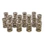 PAC RACING SPRINGS PACPAC-1245-16 1.550 Dual Valve Springs (16)