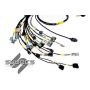Rywire RY-K2-SYVECS-NA K-Series Naturally Aspirated w/Syvecs S7 ECU Engine Harness (w/4 Inj / No EMAP/Boost)
