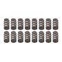PAC RACING SPRINGS PACPAC-1218-16 1.290 Valve Springs - Ovate Beehive (16)