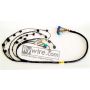 Rywire Honda S2000 AP1/AP2 (Early) Mil-Spec Engine Harness