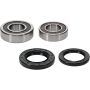 Pivot Works 25-1252-P Wheel Bearing Kit
