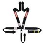 RACEQUIP RQP813003 5pt Harness Ratchet L&L Black