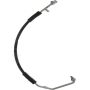 Global Parts Distributors LLC 4811719 gpd Hose Discharge Line 4811719