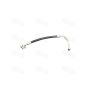 Global Parts Distributors LLC 4811995 gpd Hose Discharge Line 4811995