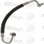 Global Parts Distributors LLC 4812568 gpd Hose Discharge Line 4812568