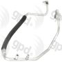 Global Parts Distributors LLC 4812895 gpd Hose Discharge Line 4812895