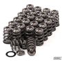 GSC Power Division 5014 GSC P-D Nissan VQ35 Conical Valve Spring and Titanium Retainer Kit
