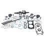 Vertex Pistons WR00009 Vertex Polaris Complete Engine Rebuild Kit