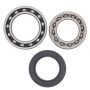 All Balls Racing 25-1010 89-91 Yamaha YFM250 Moto-4 Wheel Bearing Kit Rear