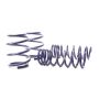 H&R 07-10 BMW M6 Cabrio E64 Sport Spring