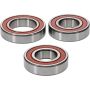 Pivot Works 25-1144-P Kawasaki Wheel Bearing Kit Premium Bearings
