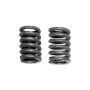 AP Exhaust 4979 Exhaust Spring Pack of 2