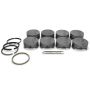 Mahle Motorsport 930221625 Piston Kit