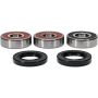 Pivot Works 25-1258-P Wheel Bearing Kit