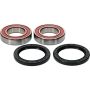 Pivot Works 25-1495-P Can-Am Wheel Bearing Kit Premium Bearings