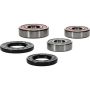Pivot Works 25-1268-P Honda Wheel Bearing Kit Premium Bearings