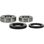 Pivot Works 25-1252-P Wheel Bearing Kit