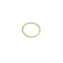 Exhaust Pipe Gasket