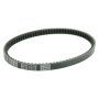 Athena S41PLAT015 Transmission Belts