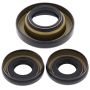 All Balls Racing 25-2004-5 95-01 Honda TRX400FW Fourtrax Foreman 4x4 Differential Seal Only Kit Front