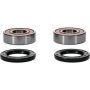 Pivot Works 25-1225-P Honda Wheel Bearing Kit Premium Bearings