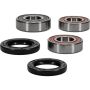 Pivot Works 25-1117-P Wheel Bearing Kit