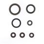 Athena P400462400001 14-19 Sherco SE-R 250/300 Engine Oil Seal Kit