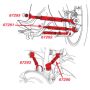 SPECIALTY PRODUCTS COMPANY 67289 HONDA/ACURA 5 ARM SET