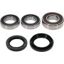 Pivot Works 25-1814-P BMW Wheel Bearing Kit Premium Bearings