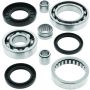 QuadBoss 413397 99-02 Kawasaki KVF300 Prairie 2x4 Rear Differential Bearing & Seal Kit