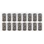 PAC RACING SPRINGS PACPAC-1529-16 1.284 Dual Valve Spring Set (16)