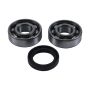 Hot Rods HR00057 00-06 TRX 350 FE/00-06 TRX 350 FM/00-06 TRX 350 TE Counter Balancer Kit