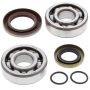 All Balls Racing 24-1103 21-23 Gas-Gas MC 65 Crank Shaft Bearing Kit