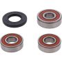 Pivot Works 25-1422-P Wheel Bearing Kit