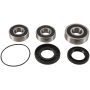 Pivot Works PWRWS-H09-000 04-07 Honda CBF500 (Euro) PW Rear Wheel Bearing Kit